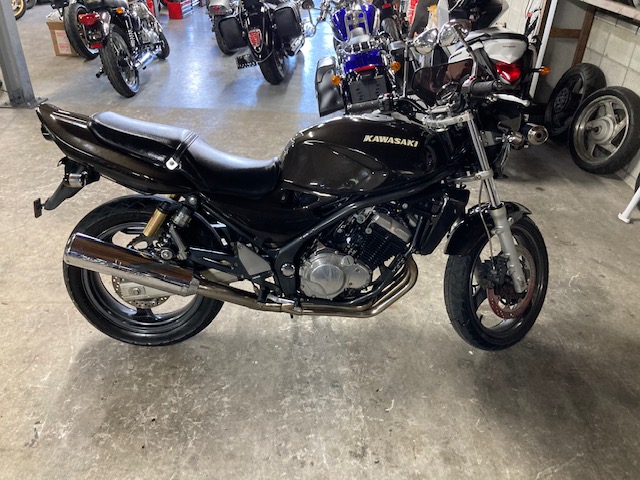 ���肵�������g�p���̂���o���I�X2