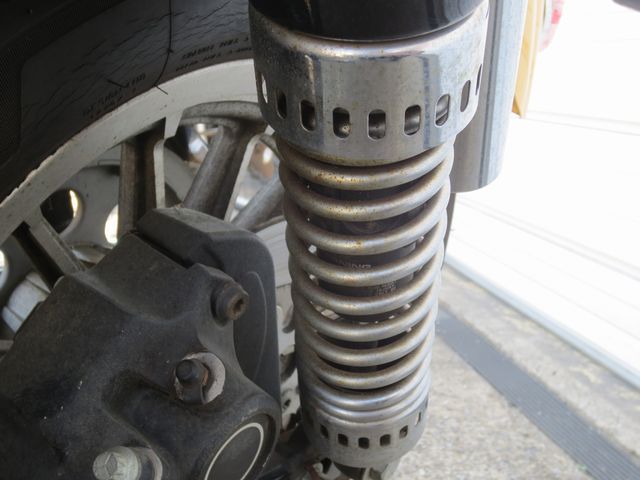 ���A�V���b�N�̃T�r